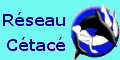 Prot�ger les baleines