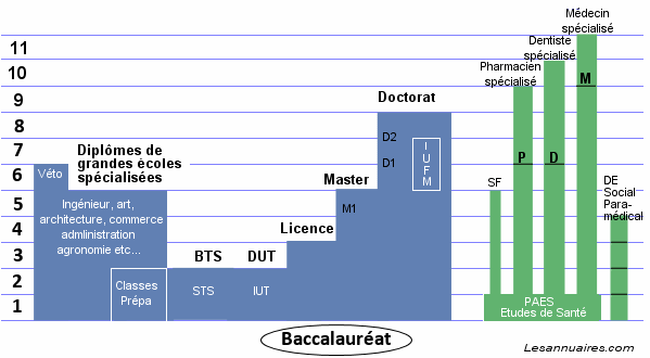 Les études supérieures en France. Les études supérieures en France