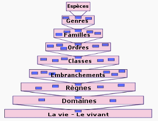 Classification du vivant